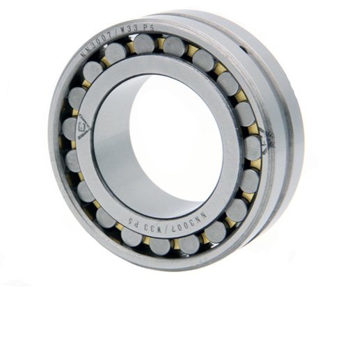 Cylindrical Roller Bearing