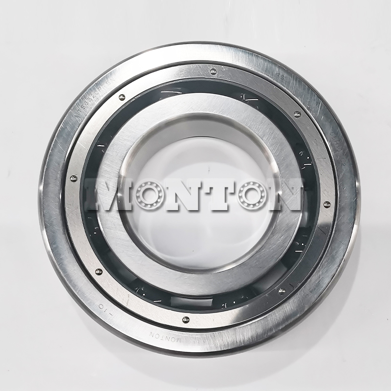 MTS6320PTSN  Low temperature bearing for LNG pump