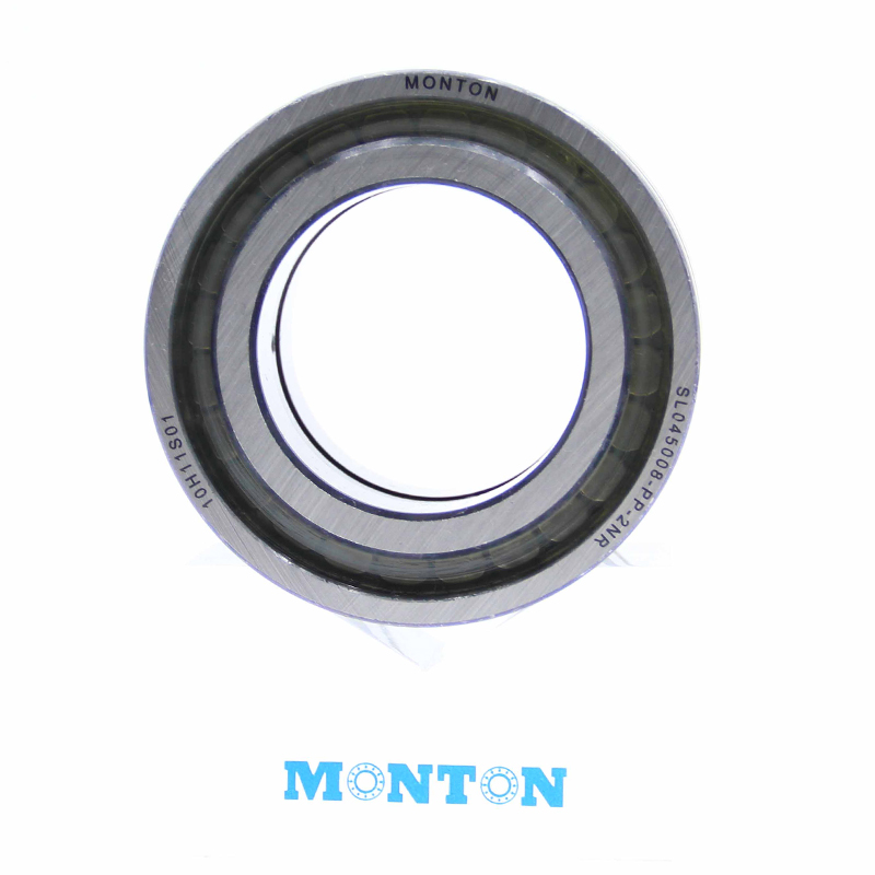 SL045008-PP-2NR Full complement cylindrical roller bearing Heavy machinery