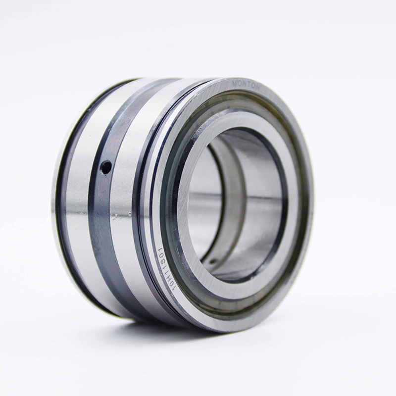 SL045008-PP-2NR Full complement cylindrical roller bearing Heavy machinery