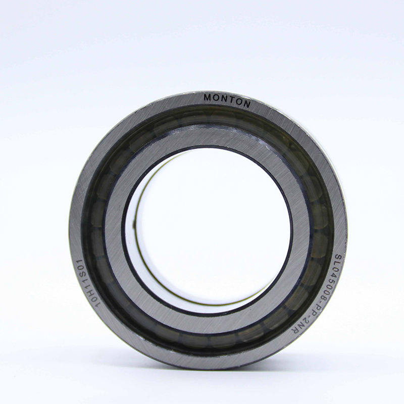 SL045008-PP-2NR Full complement cylindrical roller bearing Heavy machinery