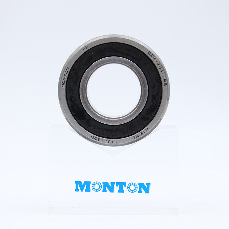 B25-254-2RS Servo motor bearing