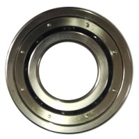 Low temperature bearing