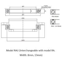 RAU Crossed Roller Bearings