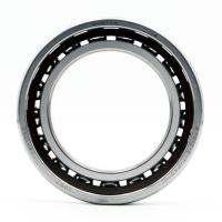 B70XX Light Series Angular Contact Ball Bearings
